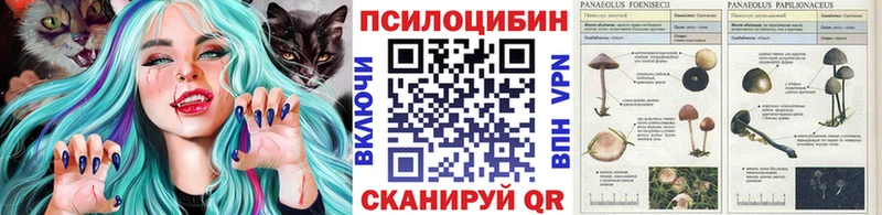 Галлюциногенные грибы мицелий  Купить где  Моздок 
